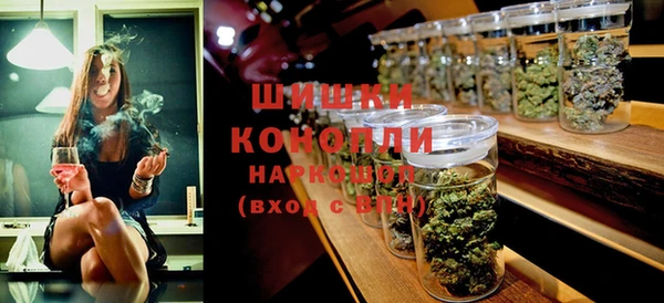 индика Лихославль