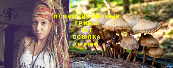 герыч Липки