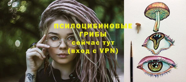 индика Лихославль