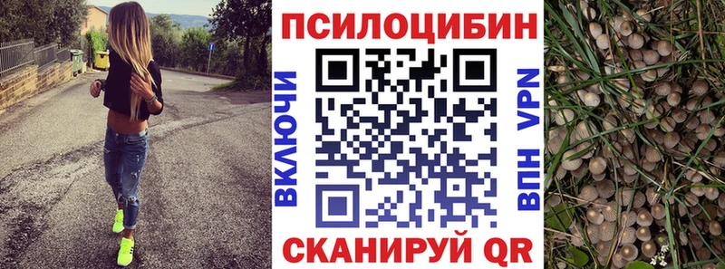 Псилоцибиновые грибы Cubensis купить наркоту Тотьма