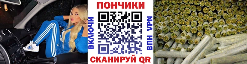 Канабис план  цена наркотик  маркетплейс состав  Тотьма  МЕГА маркетплейс 